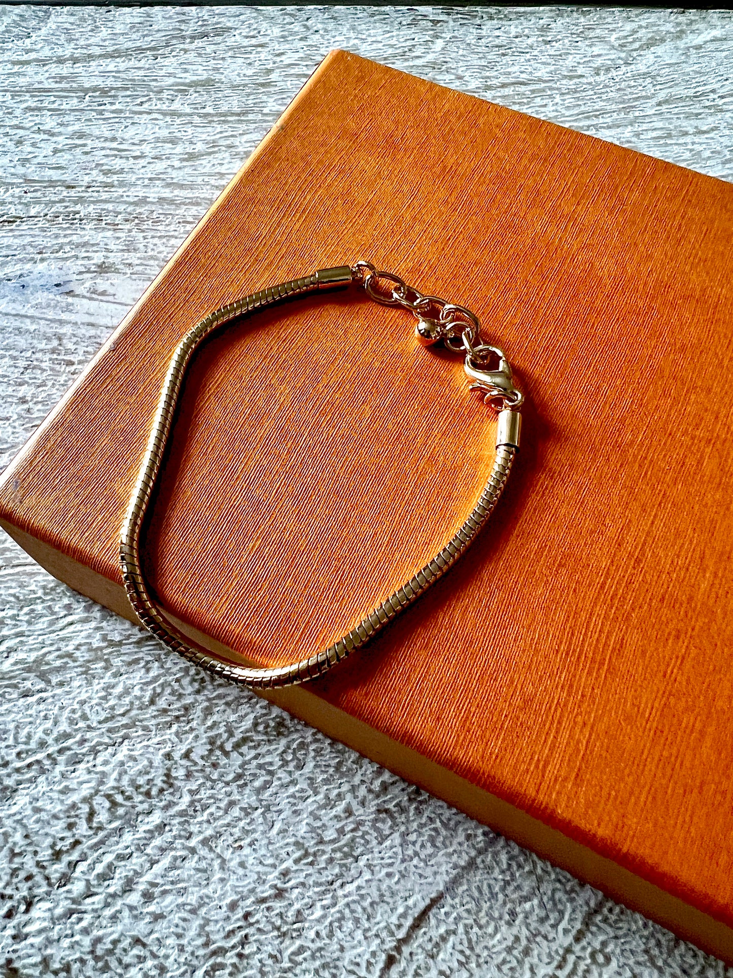 Snake Chain Bracelet